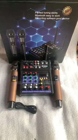 4 Channels Professional Audio Mixer Two Wireless Microphones