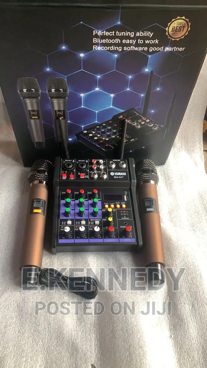 4 Channels Professional Audio Mixer Two Wireless Microphones in Mushin