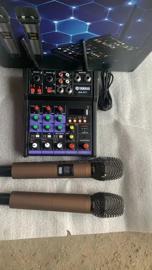 4 Channels Professional Audio Mixer Two Wireless Microphones