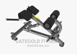 Commercial Multi Hyper Extension Kj-1258