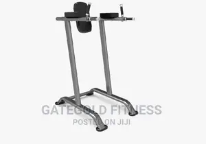 Commercial Vertical Knee Raise Kj-1248