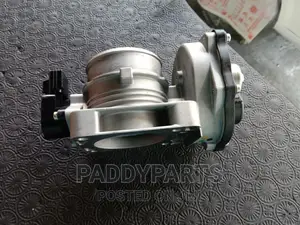 Ford Expedition Throttle Body/Injector Mouth.