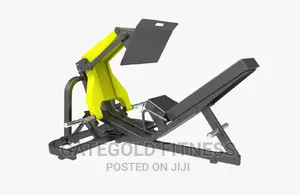 45 Degree Commercial Leg Press DFT-711