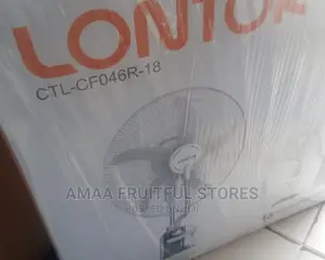 Rechargable Lontor Mix Fan