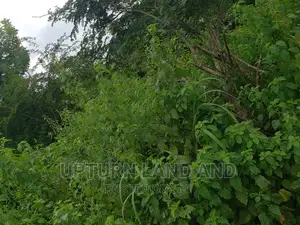 66 Acres at Atanda Village, Osengere, Along Ibadan/Ife Expres