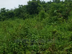 4 Acres and 2 Plots at Badeku Junction, Along Ibadan/Ife Road
