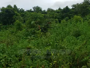 130 Acres at Ore/Iyana Offa, Along Ibadan/Iwo Road, Ibadan.
