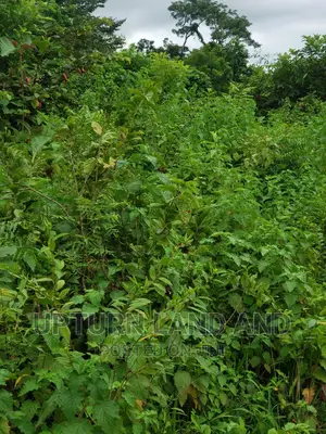 12,000 Acres Opposite Foursquare Camp, Lagos-Ibadan Highway