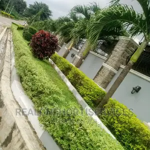 Horticultural Plants for Home, Schools, Hotels, Malls , Offc