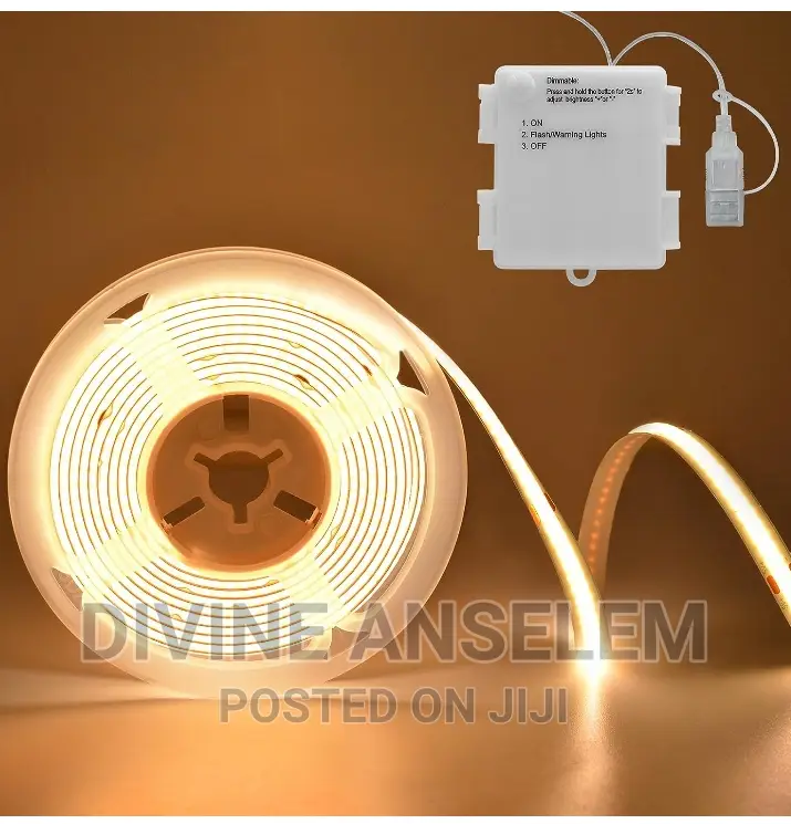 COB Tape Light