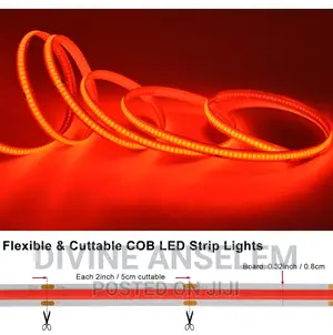 COB Tape Light