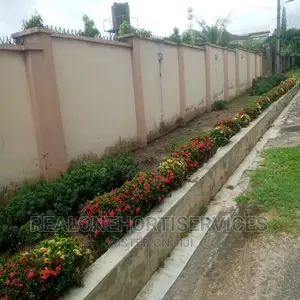 Hedges Flower For Beautification And Noise Pollution Control