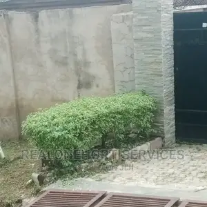 Hedges Flower For Beautification And Noise Pollution Control