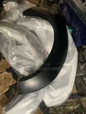 Fender Molding Dodge Challenger