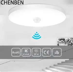 Smart Motion Sensor Light