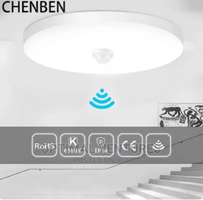 Smart Motion Sensor Light