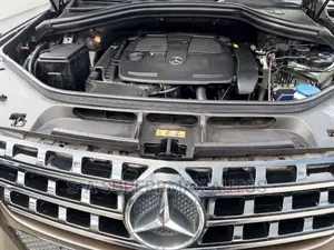 Mercedes-Benz M Class ML 350 4Matic 2013 Brown