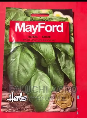 Sweet Basil Seed