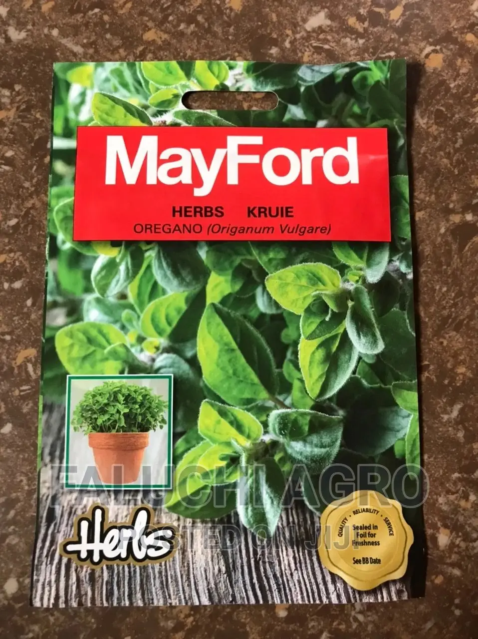 Oregano Seed