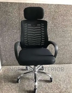 Executive Office Chair With Head Rest