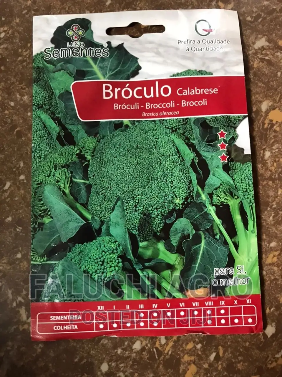 Broccoli Seed