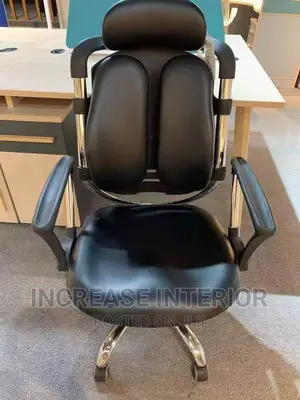 Executive Office Chair With Lumbar Support