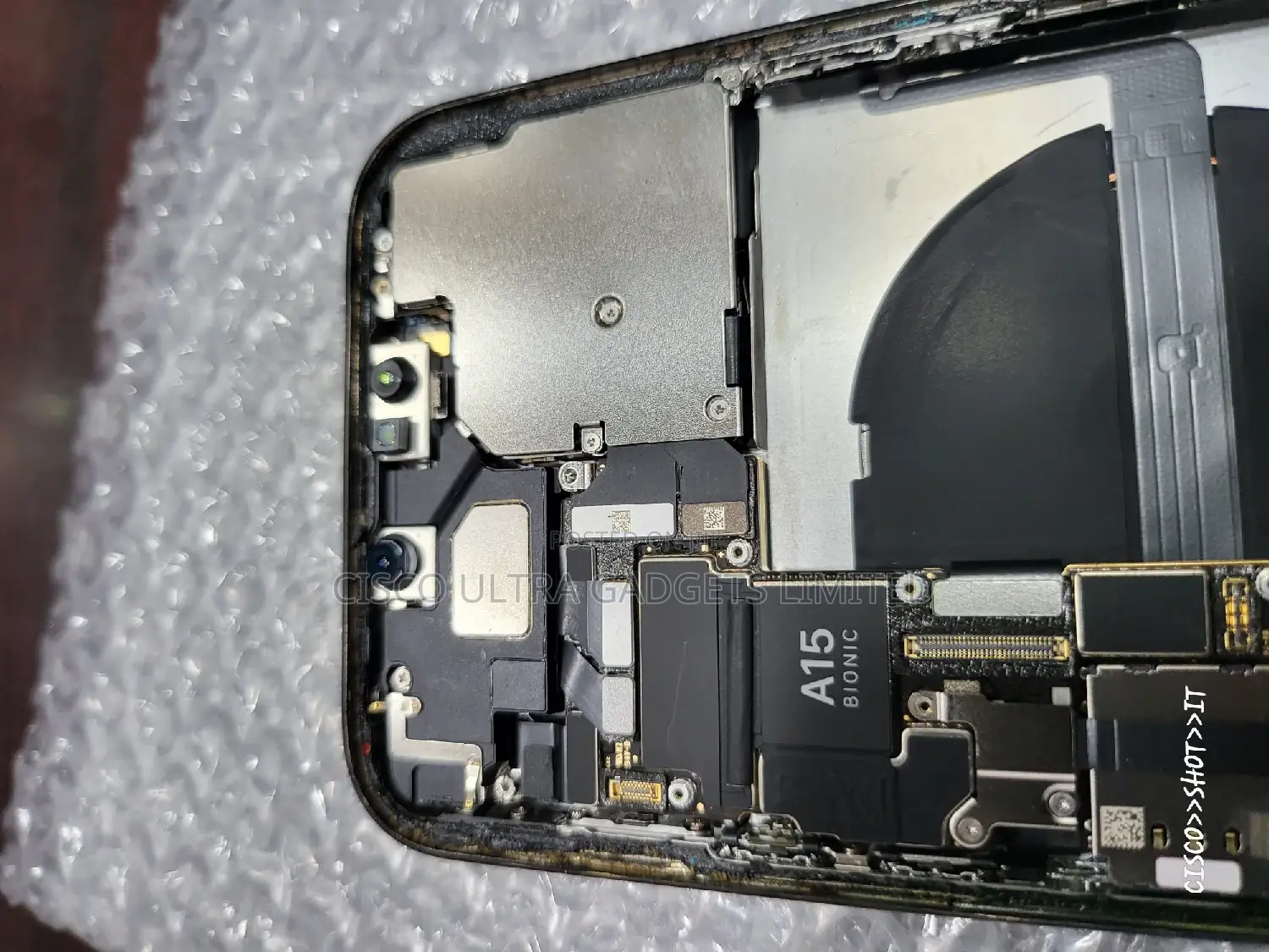 13promax Casing