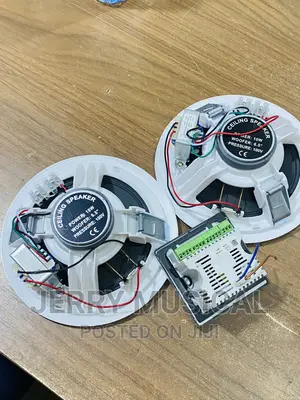 D10 Ceiling Speakers With in Wall Amplifier