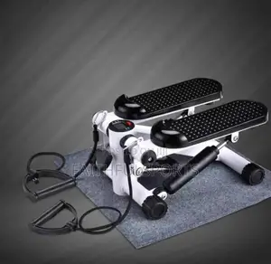 Best Quality Standard Mini Stepper