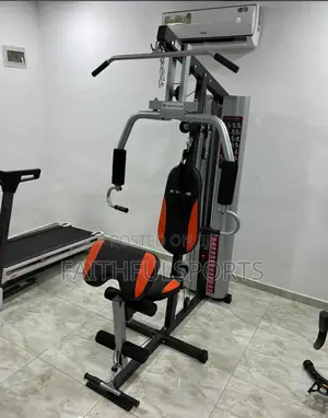 Standard New Single Station Gym