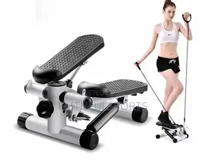 Quality Standard Mini Stepper