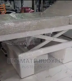 Brand New Luxury Electric Spa Bed