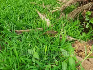 6.7 Hectares