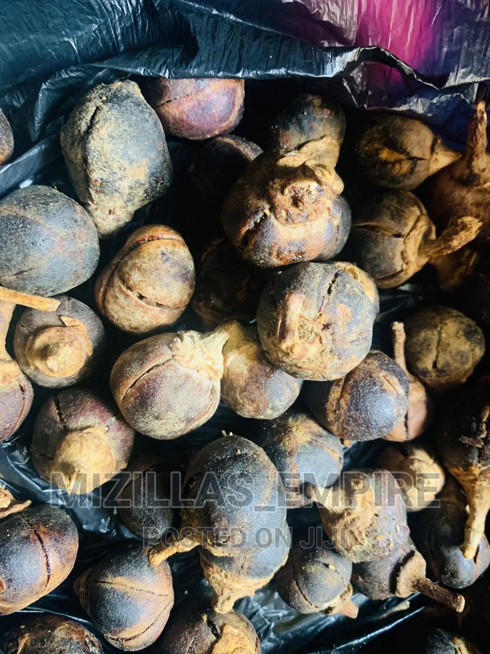 Gorontula Fruit(10pics)