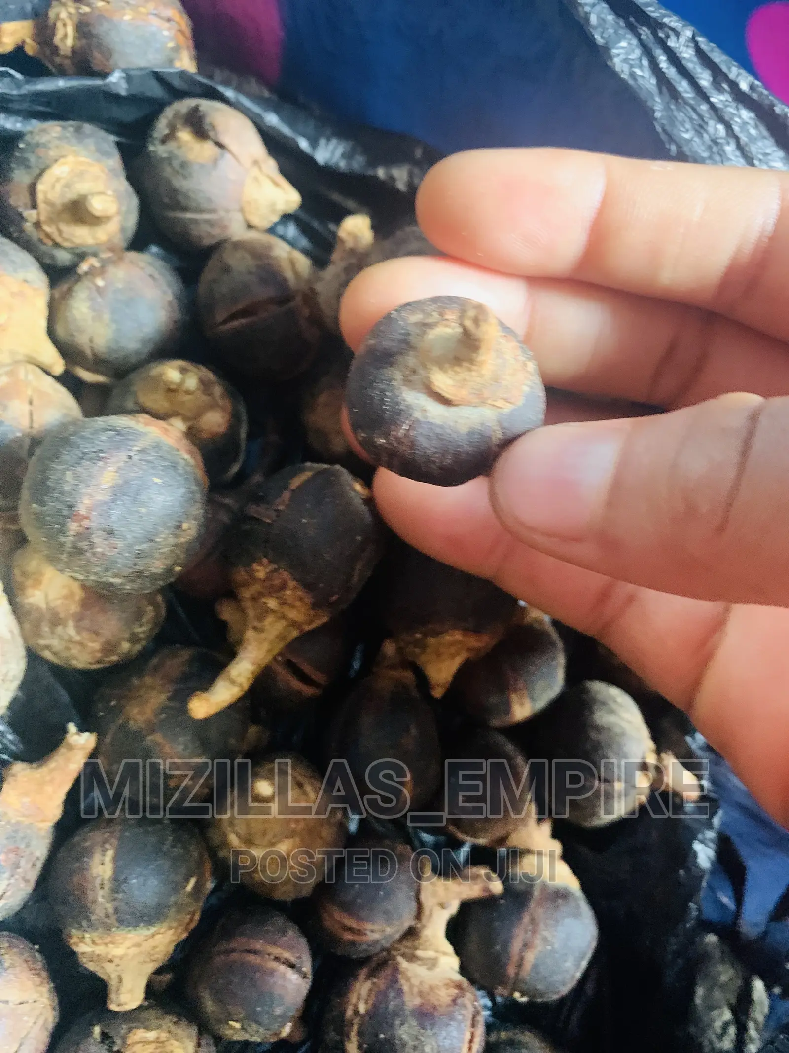 Gorontula Fruit(10pics)