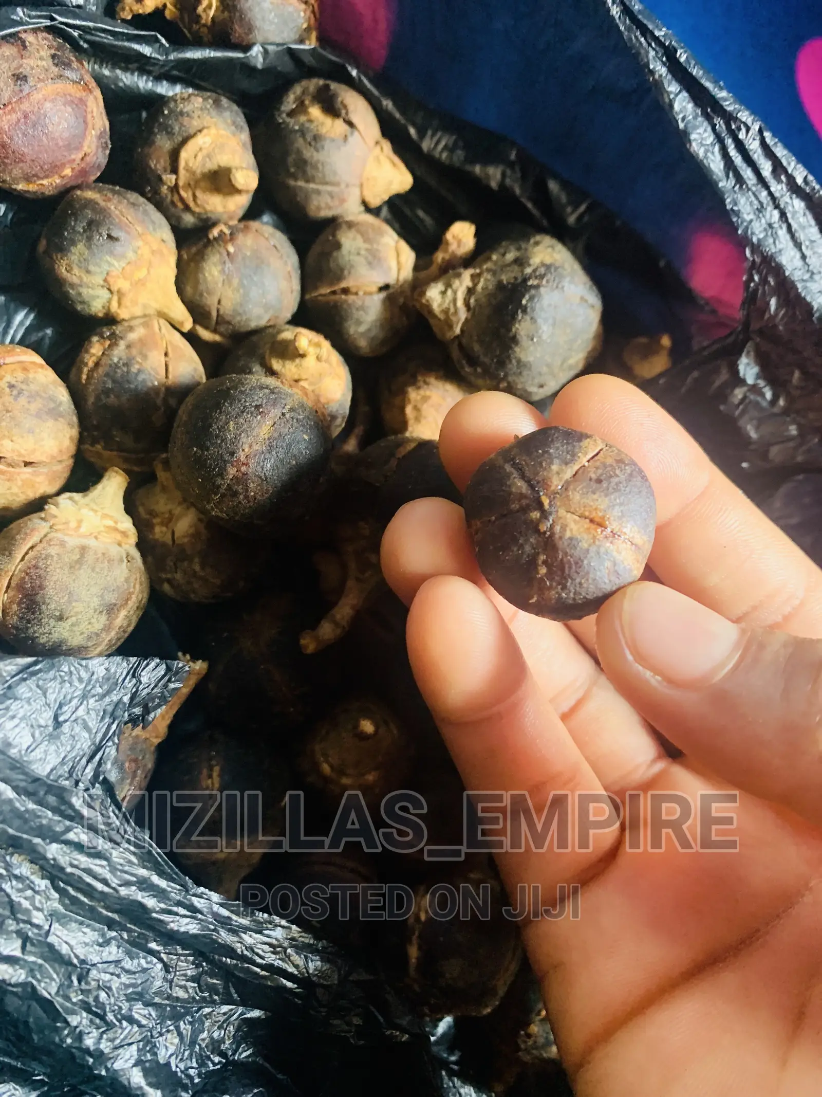 Gorontula Fruit(10pics)
