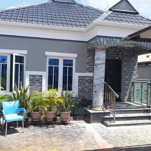 Professional House Painter,Screeder,Pop,3d Panel, Etc