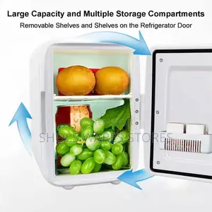 Car Portable Fridge Cooler