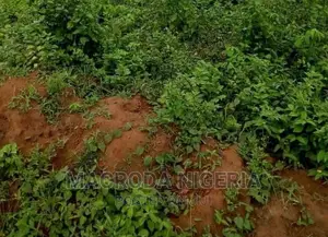 A Parcel of Land Measuring 1,204sqm Approximately in a Close