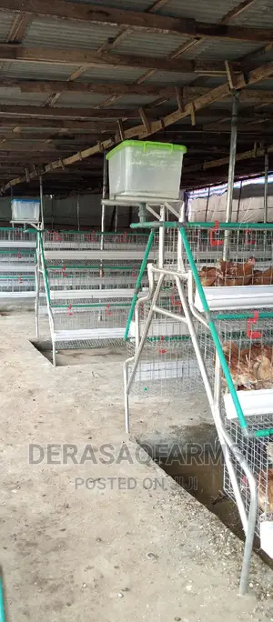 Photo - Battery Cages for Layers With Full Accessories