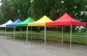 10x10 Foldable Canopy