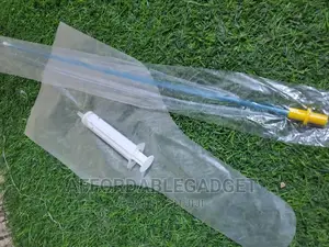 Artificial Insemination for Dogs