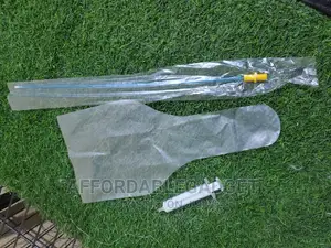 Artificial Insemination for Dogs