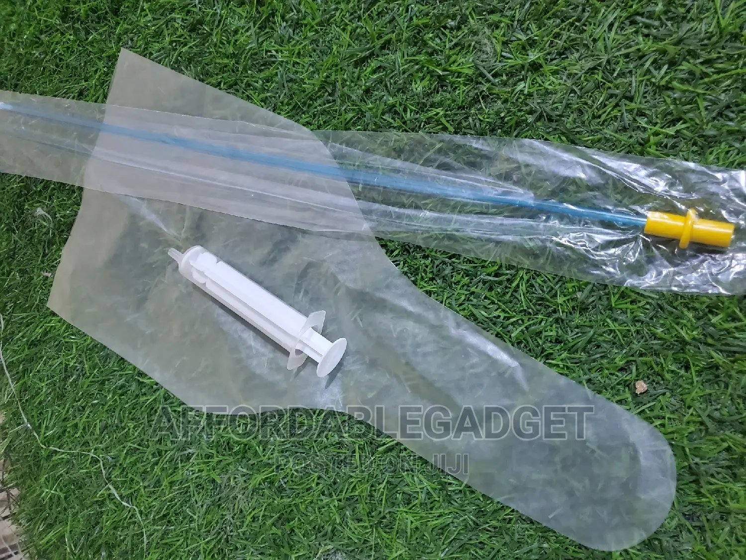Artificial Insemination for Dogs