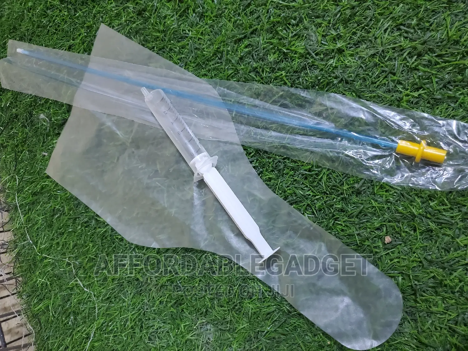 Artificial Insemination for Dogs