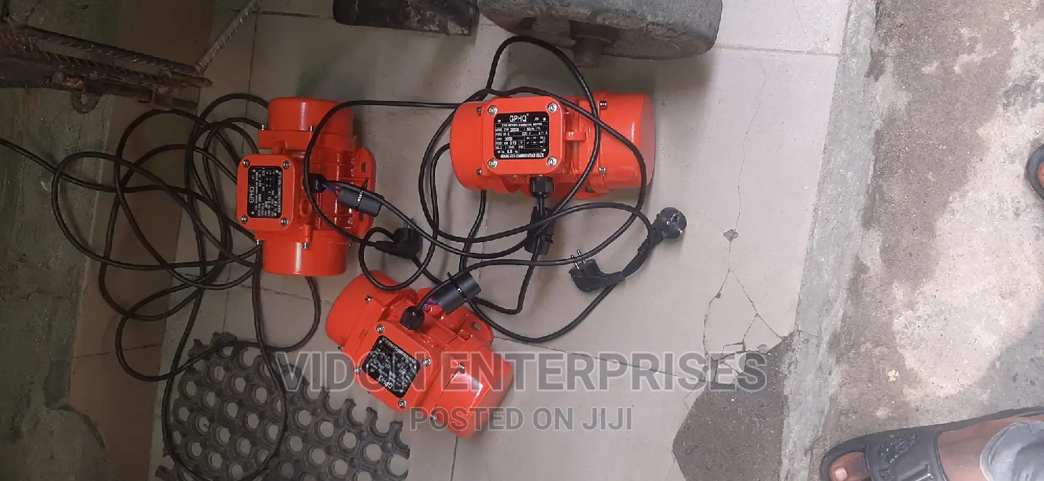 Vibrator Electric Motor