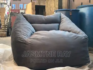 Comfy Exotic Bean Bag Sofa