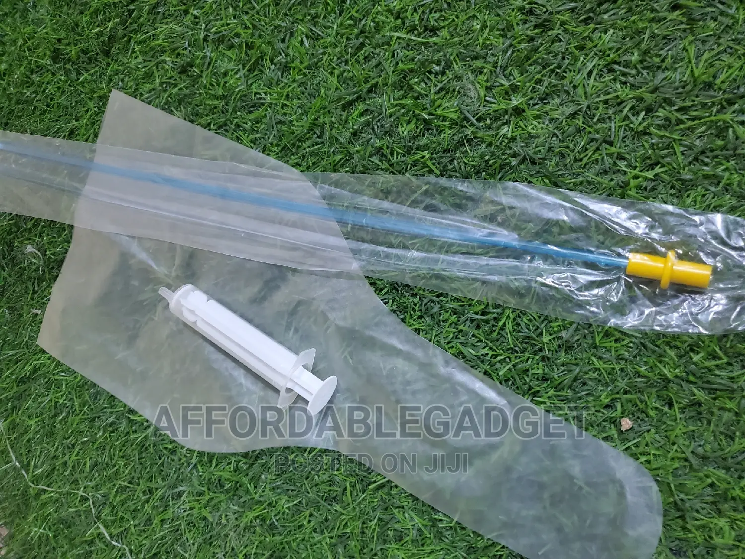 Artificial Insemination for Dogs