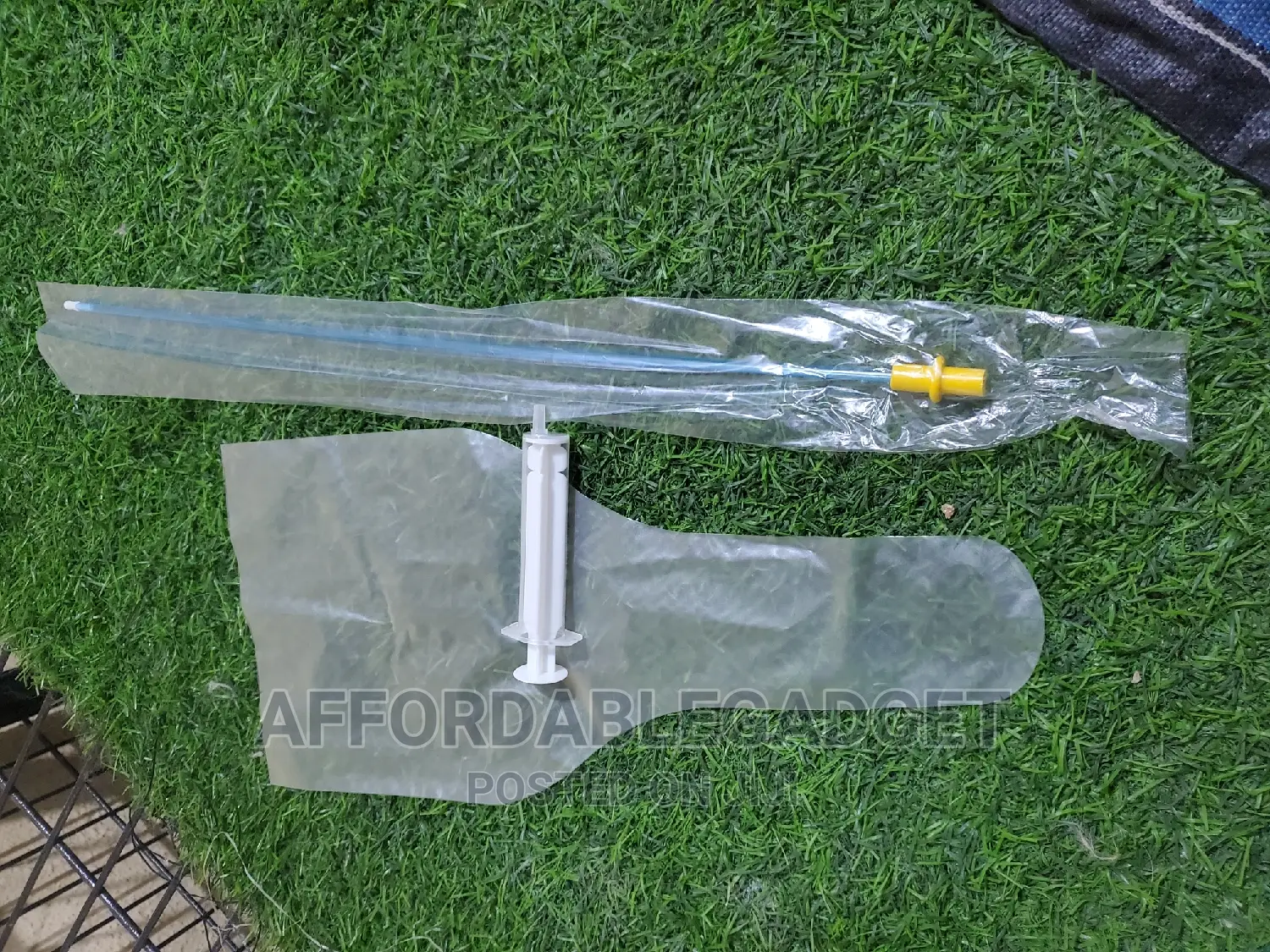 Artificial Insemination for Dogs