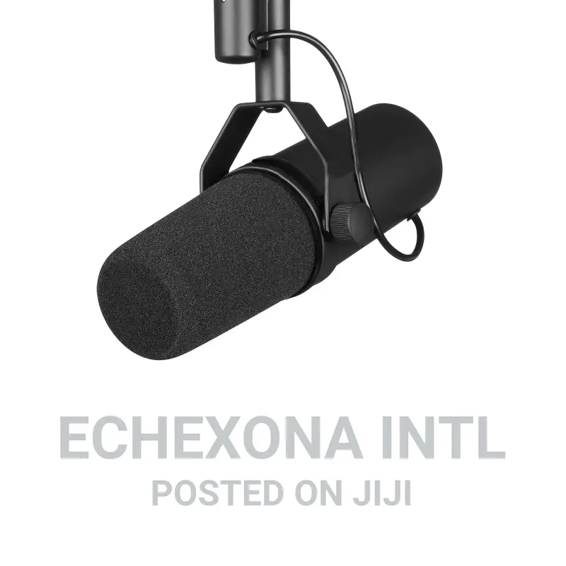 Sm 7b Microphone